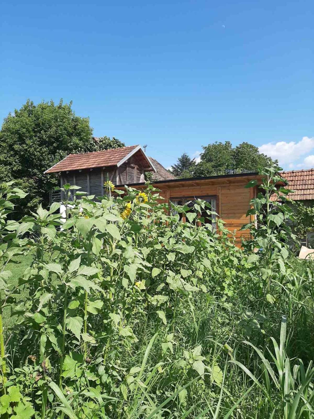 Morava Garden Resort Jagodina Bagian luar foto